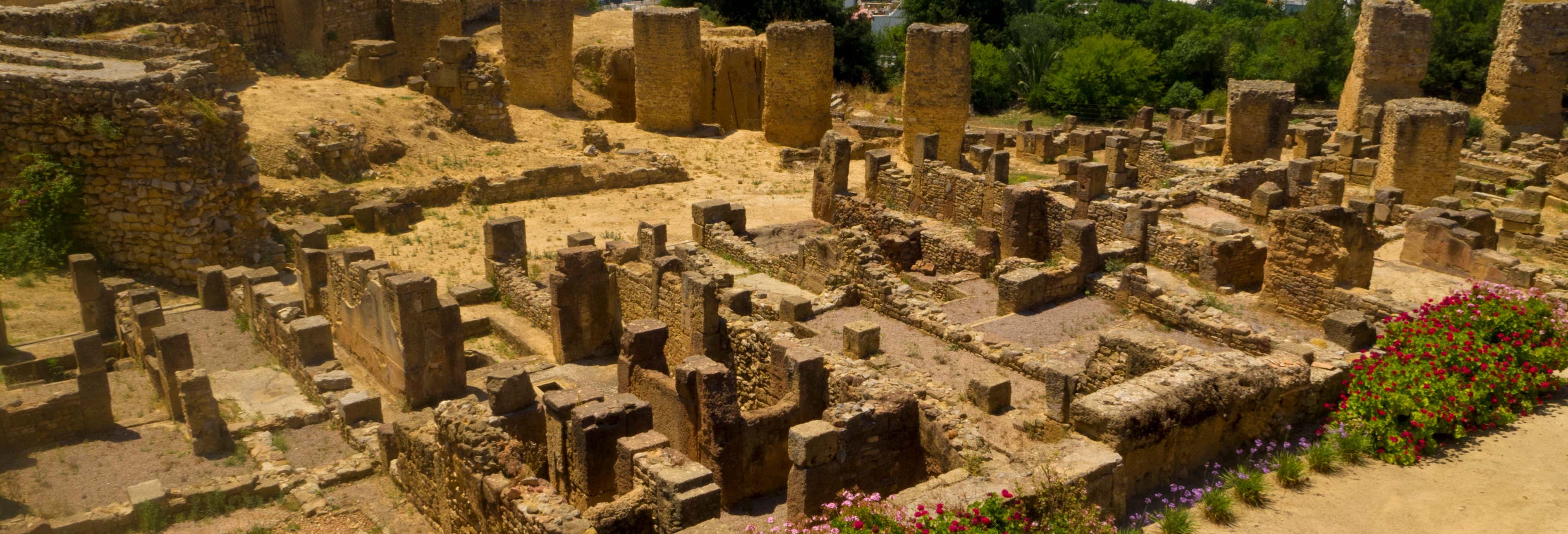 Tour di Tunisi, Cartagine e Sidi Bou Said per croceristi