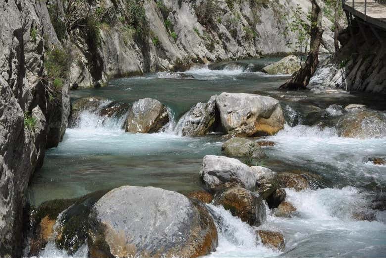 Imagen 3