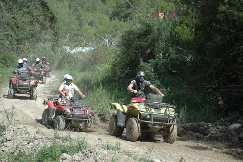 Imagen 4