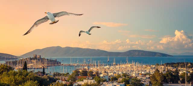 Minicrociera lungo la costa di Bodrum