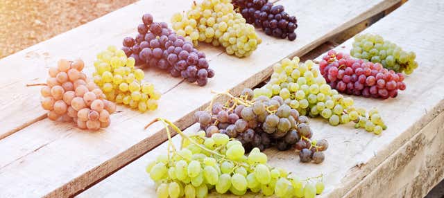 Degustazione di vino in Cappadocia