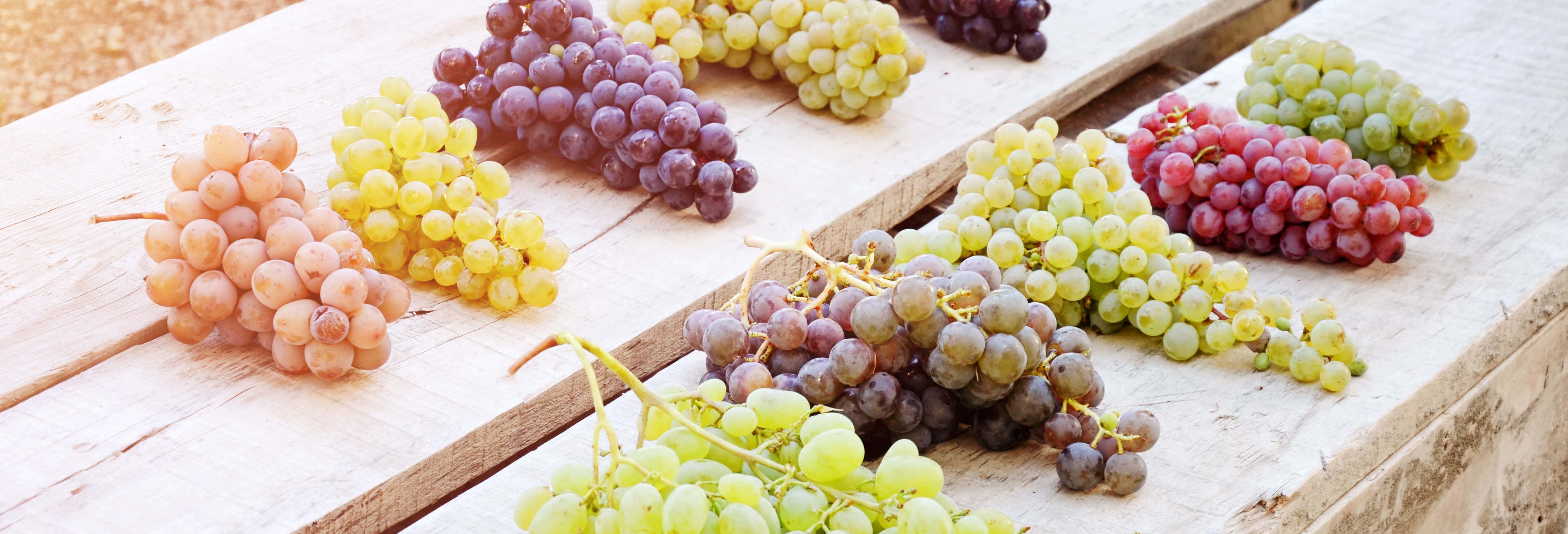 Degustazione di vino in Cappadocia