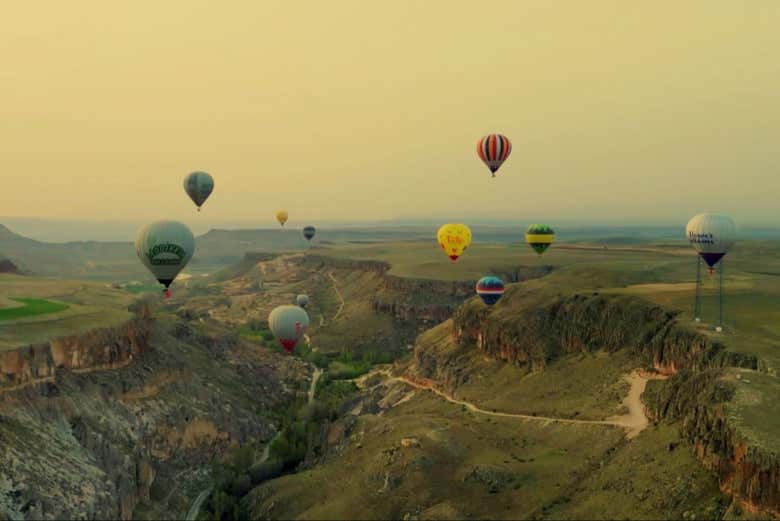 Imagen 7