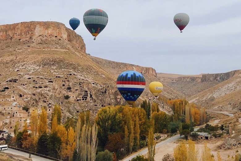 Imagen 9