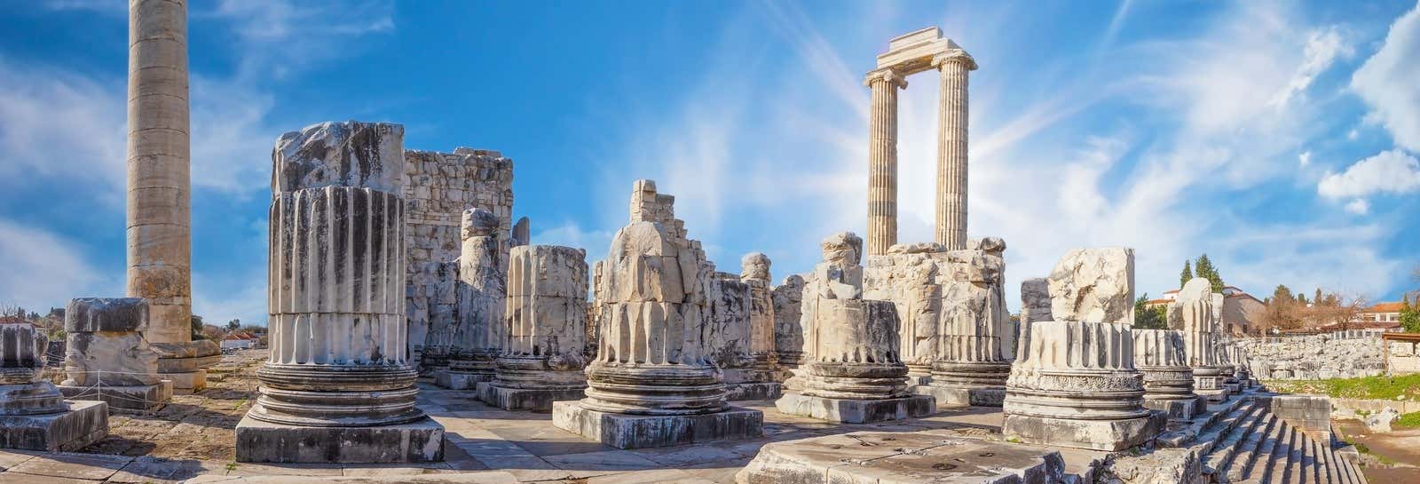 Escursione a Mileto, Didima e Priene