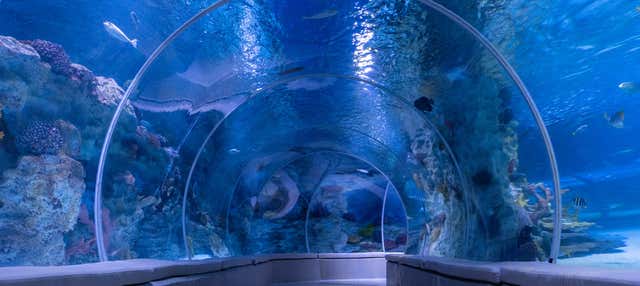Biglietti per l'Acquario Emaar