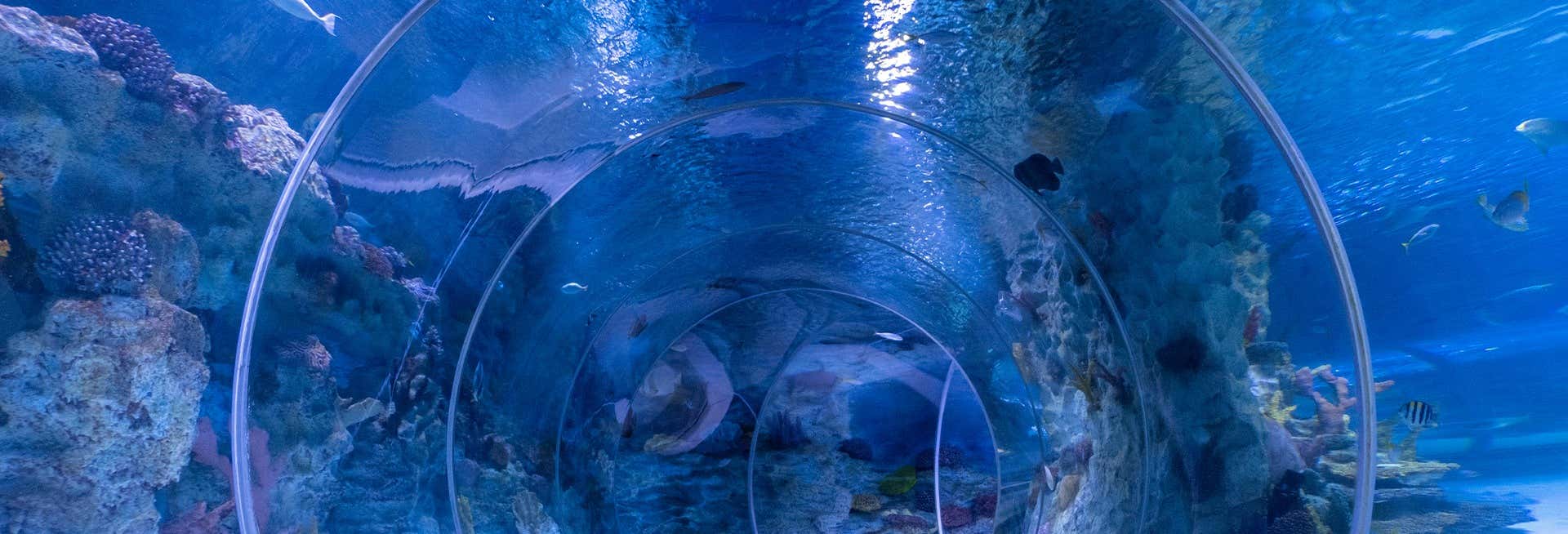 Biglietti per l'Acquario Emaar