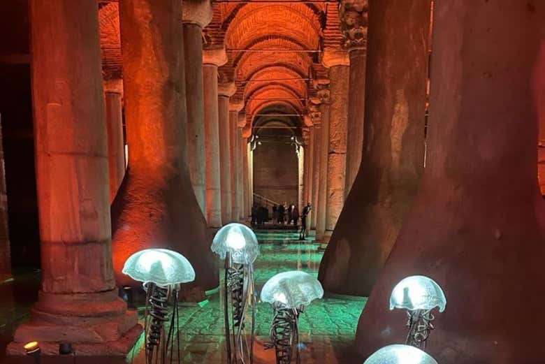 Imagen 7
