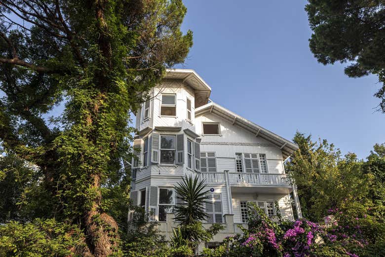 Imagen 7