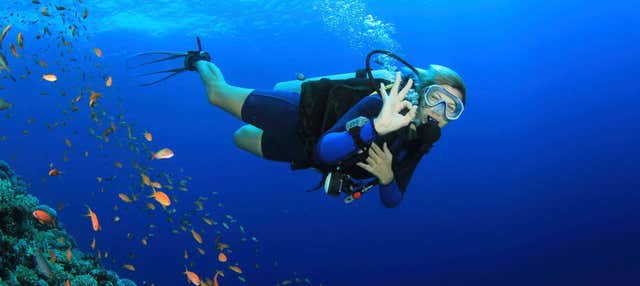 Immersione per principianti a Marmaris