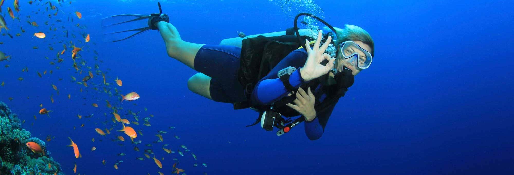 Immersione per principianti a Marmaris