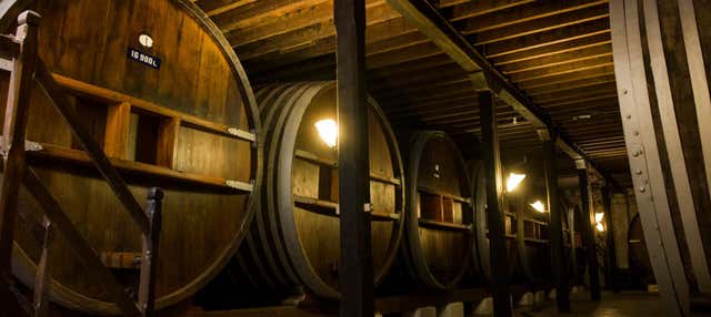 Visita guidata della cantina Viña Varela Zarranz