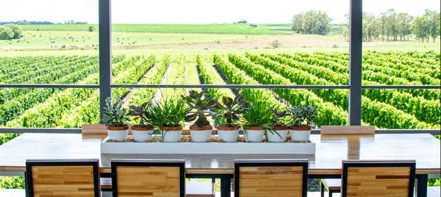 Visita alla cantina Fripp