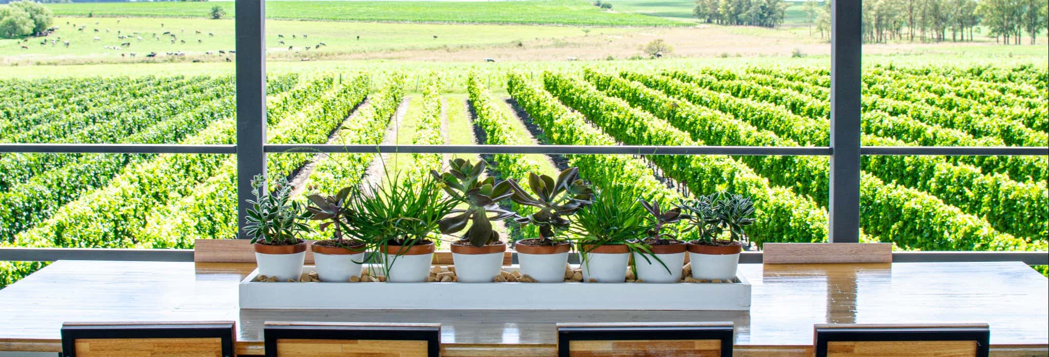 Visita alla cantina Fripp