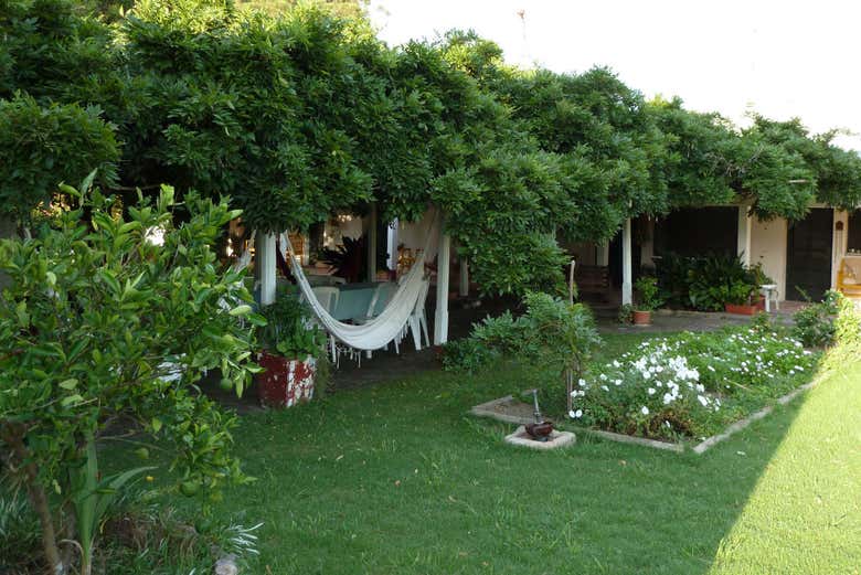Imagen 7