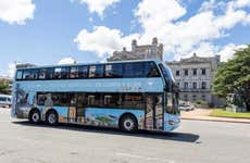 Sightseeing Bus Tour of Montevideo