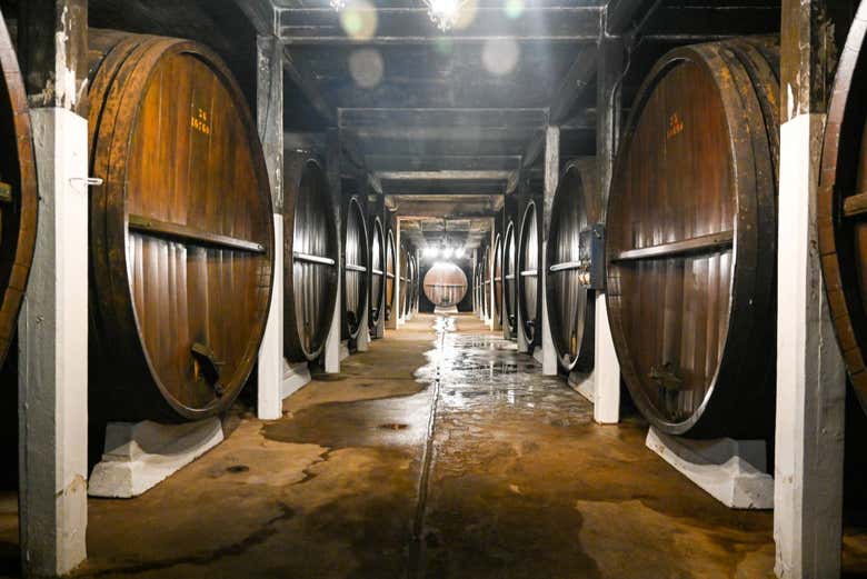 Tour of Santa Rosa Winery