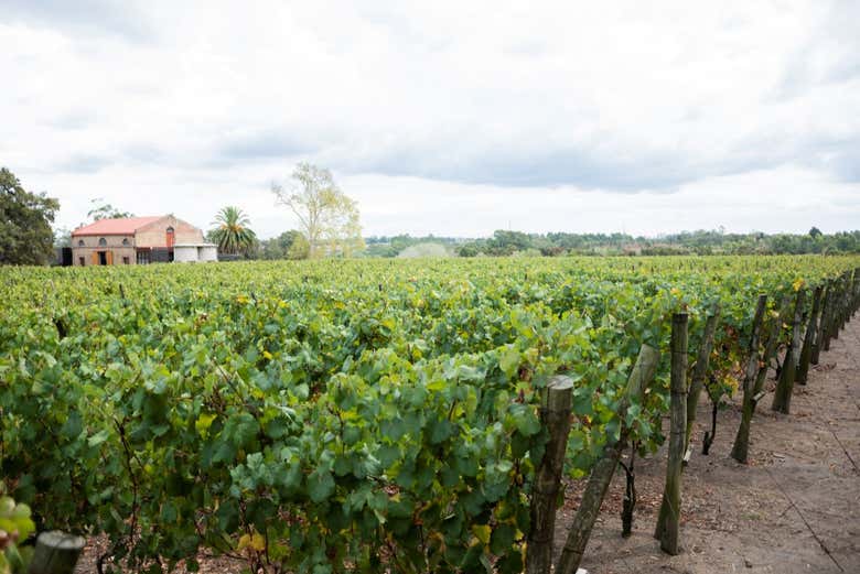 Varela Zarranz Winery Tour