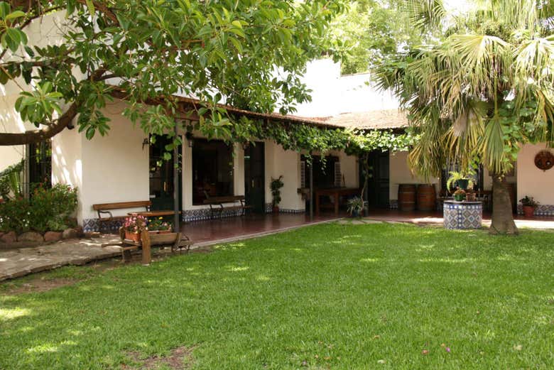 Imagen 4