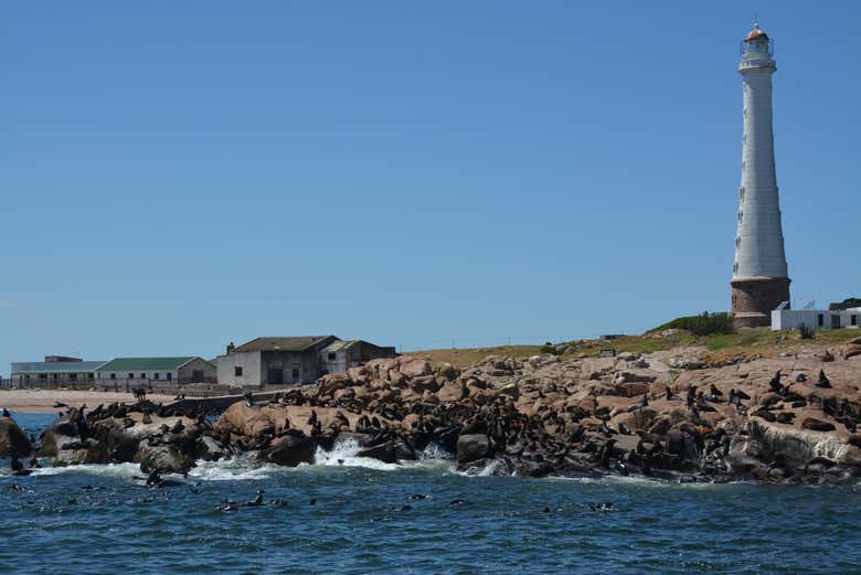 Imagen 7