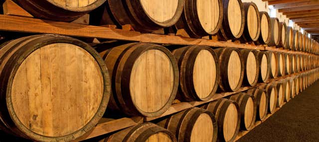 Visita alla cantina Familia Dardanelli