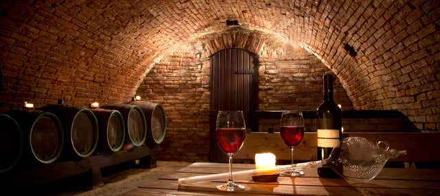 Visita alla cantina Juanicó