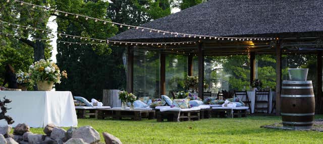 Visita alla cantina Spinoglio