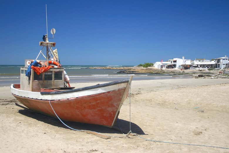 Imagen 4