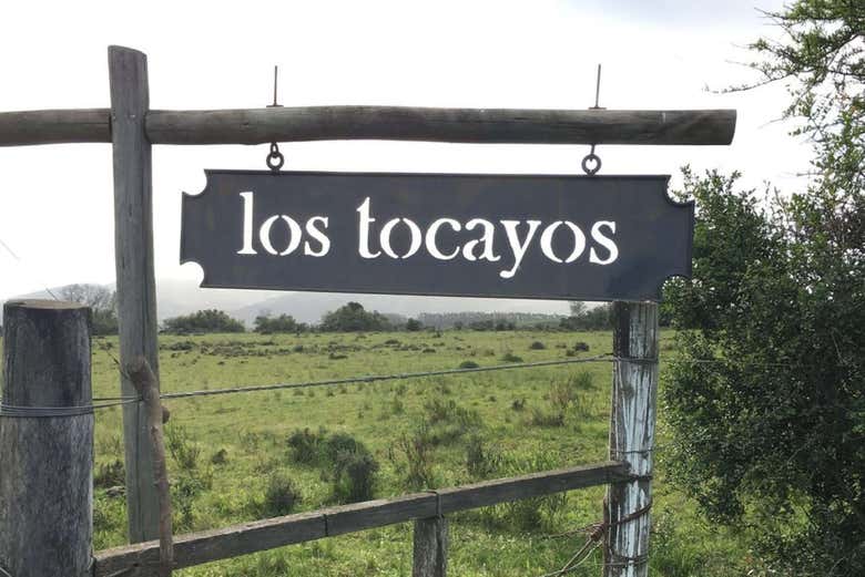 Imagen 3