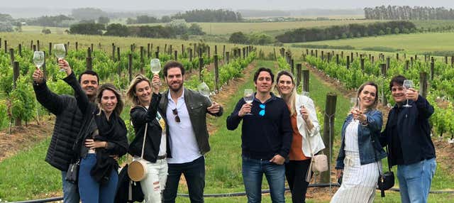 Tour privato dei formaggi e i vini di Punta del Este