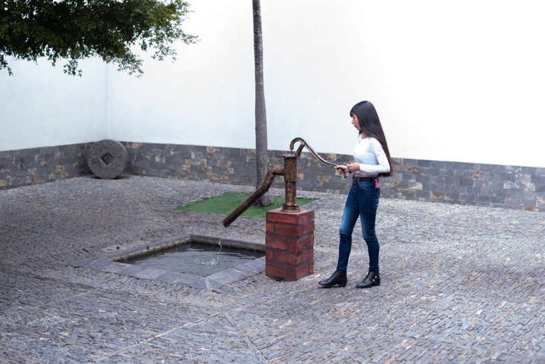 Imagen 3