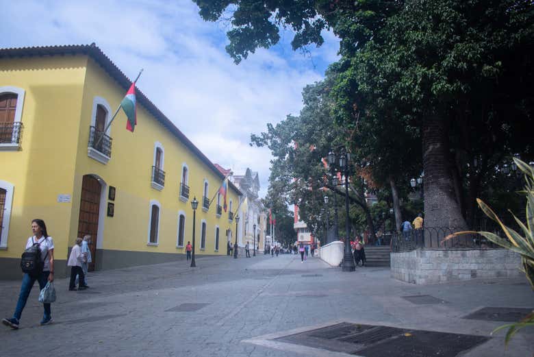 Imagen 3
