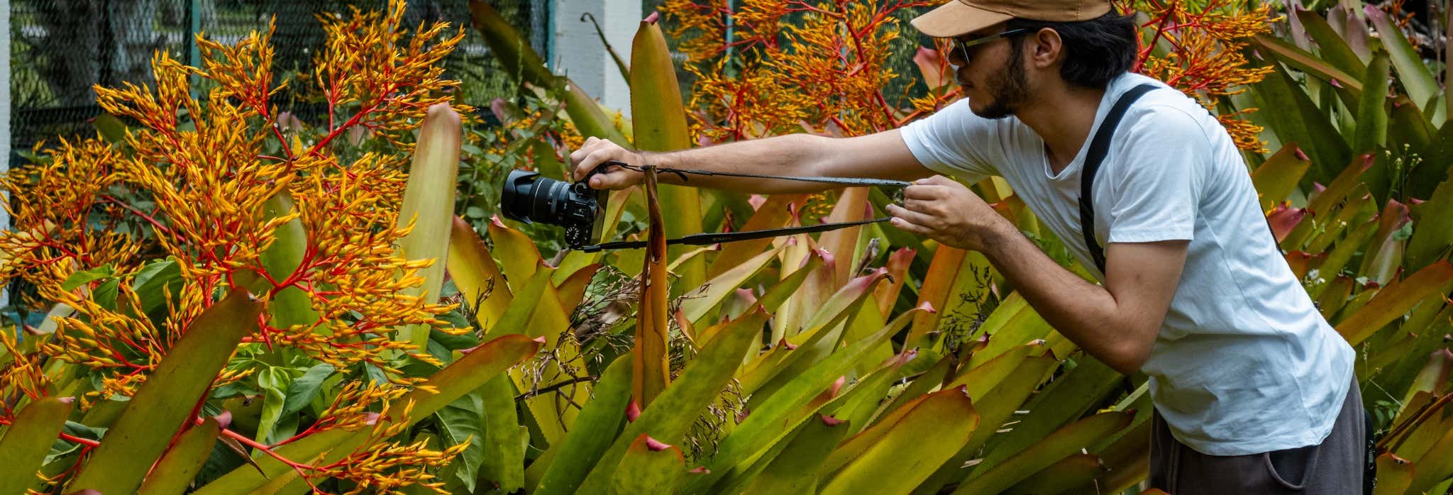 Tour fotográfico pelo Parque Nacional Warairarepano