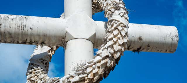 Visita guidata del Cementerio General del Sur