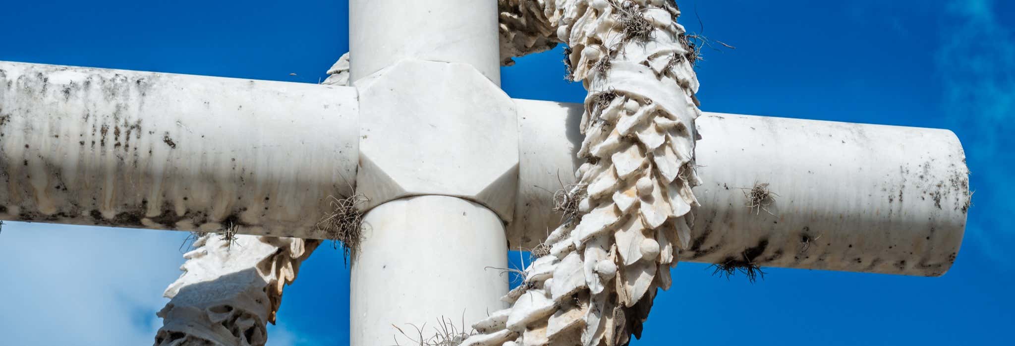 Visita guidata del Cementerio General del Sur