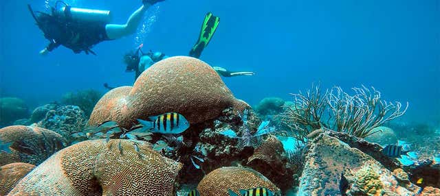 Immersione nell'arcipelago di Los Frailes