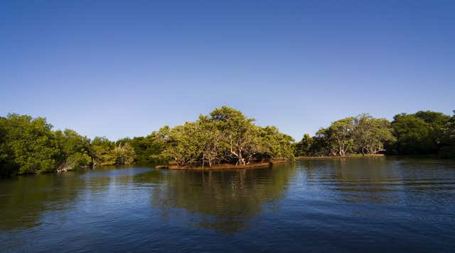 La Restinga