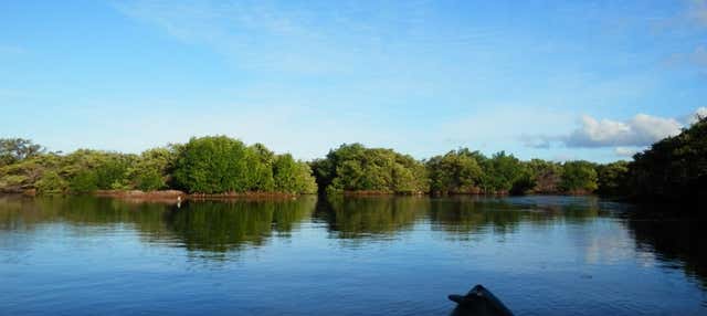 Tour en kayak por la Laguna de La Restinga