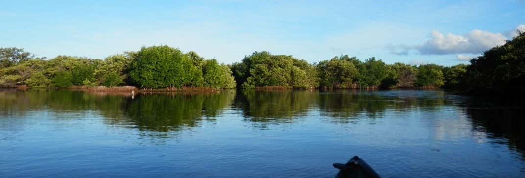 Tour della Laguna de La Restinga in kayak