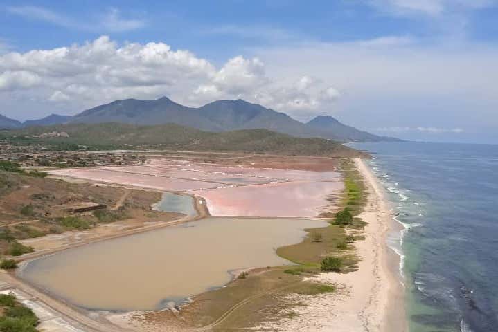Imagen 7
