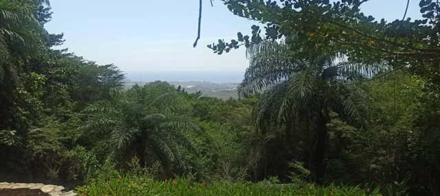 Tour di La Asunción + Trekking a La Sierra