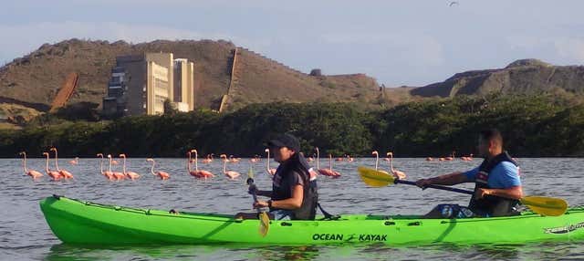 Tour della Laguna El Morro in kayak