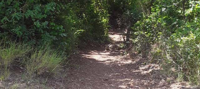 Trekking a Tacarigua + Pranzo sulla spiaggia di Zaragoza