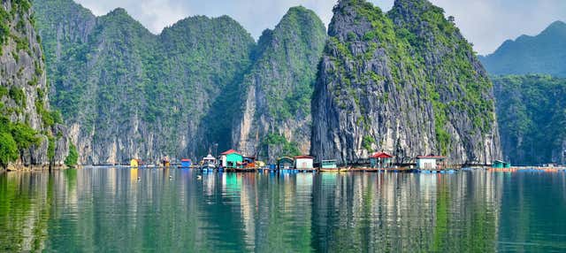 Escursione alle baie di Ha Long e Lan Ha