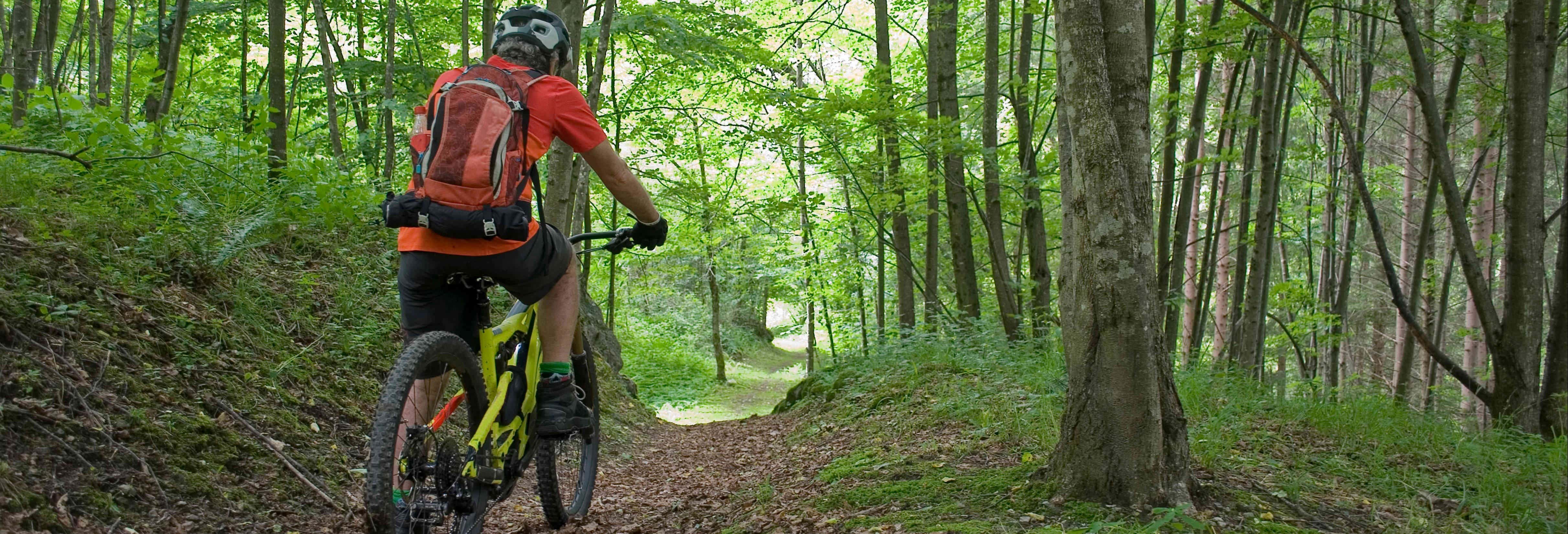 Tour del Parco nazionale Bidoup-Nui Ba in bicicletta