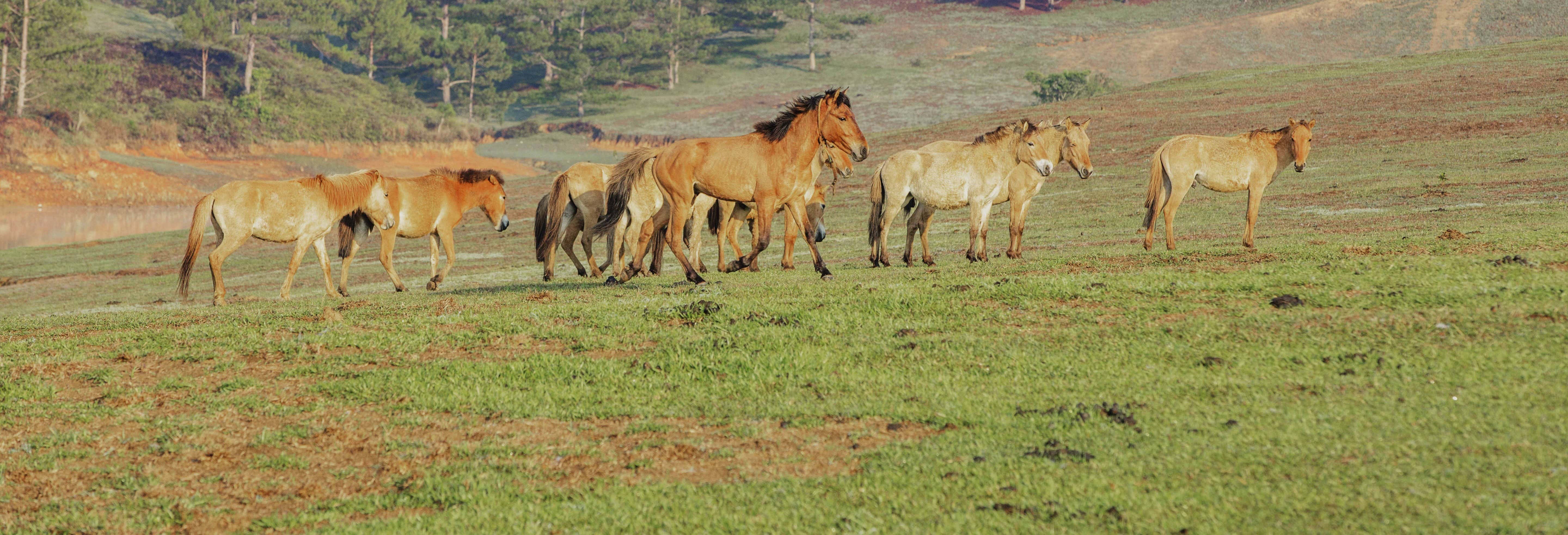 Trekking sulla montagna Langbiang
