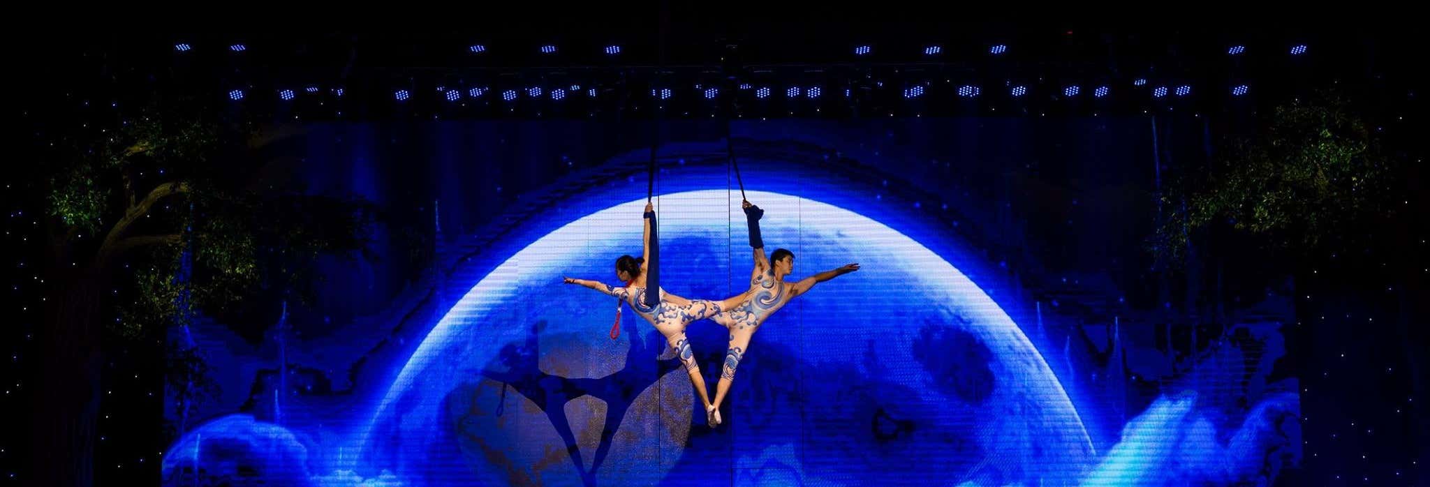 Charming Danang Show Ticket