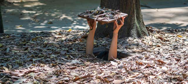 Escursione privata ai tunnel di Cu Chi