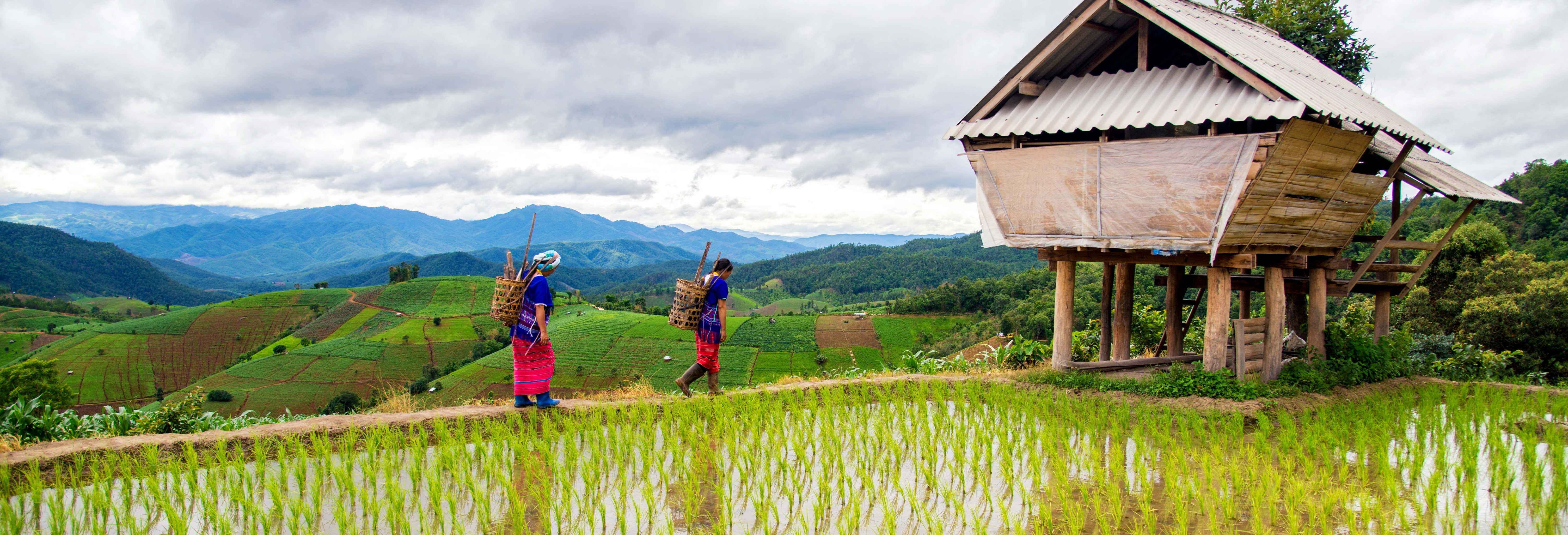 Trekking tra le risaie di Sapa