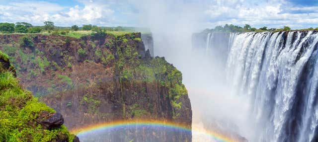 Gorge swing a Livingstone